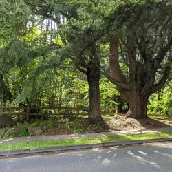 Boeing Creek Park - Shoreline