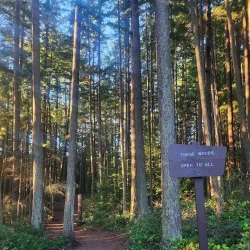 Boeing Creek Park - Shoreline