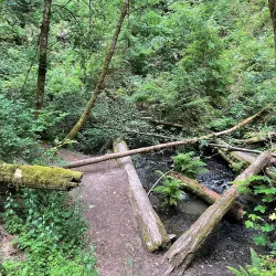 Boeing Creek Park - Shoreline