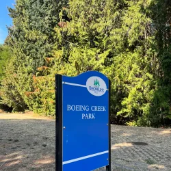 Boeing Creek Park - Shoreline