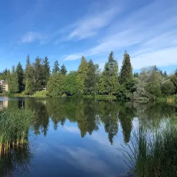 Echo Lake Park - Shoreline