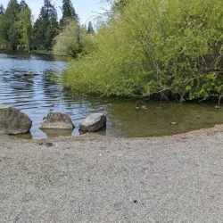 Echo Lake Park - Shoreline