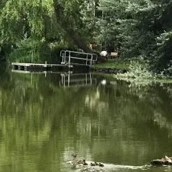 Echo Lake Park - Shoreline