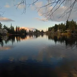 Echo Lake Park - Shoreline