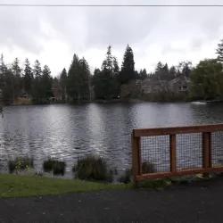 Echo Lake Park - Shoreline