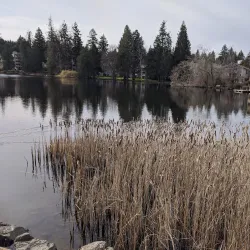 Echo Lake Park - Shoreline
