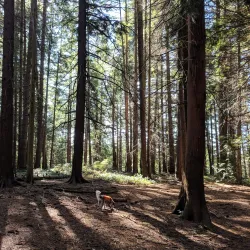 Hamlin Park - Shoreline