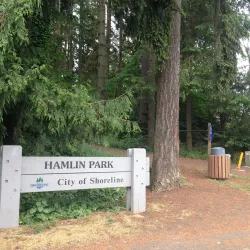 Hamlin Park - Shoreline
