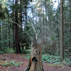 Hamlin Park - Shoreline