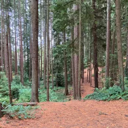 Hamlin Park - Shoreline