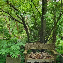 Kruckeberg Botanic Garden - Shoreline