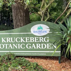 Kruckeberg Botanic Garden - Shoreline