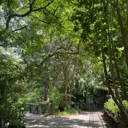 Kruckeberg Botanic Garden - Shoreline