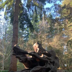 Kruckeberg Botanic Garden - Shoreline
