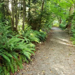 Kruckeberg Botanic Garden - Shoreline