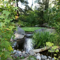 Kruckeberg Botanic Garden - Shoreline