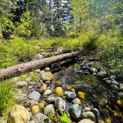 Kruckeberg Botanic Garden - Shoreline
