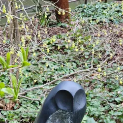 Kruckeberg Botanic Garden - Shoreline