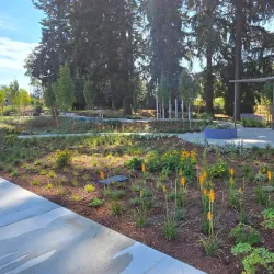 Richmond Highlands Park - Shoreline