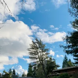 Shoreline Community College Arboretum - Shoreline