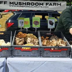 Shoreline Farmers Market - Shoreline