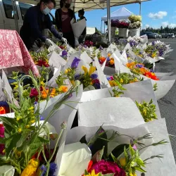 Shoreline Farmers Market - Shoreline