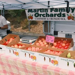 Shoreline Farmers Market - Shoreline