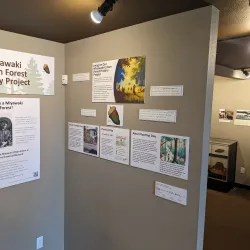 Shoreline Historical Museum - Shoreline