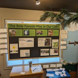 Shoreline Historical Museum - Shoreline