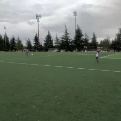 Shoreline Pool and Ice Center - Shoreline