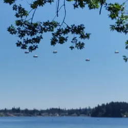 American Lake Park - Spanaway