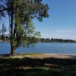American Lake Park - Spanaway