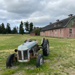 Fort Steilacoom Park - Spanaway