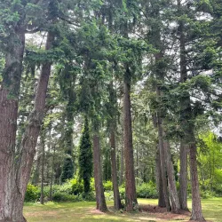 Spanaway Lake Golf Course - Spanaway