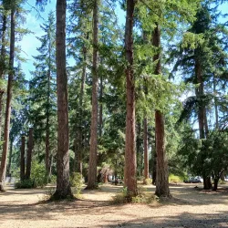 Spanaway Regional Park - Spanaway