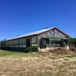 Green Bluff - Spokane