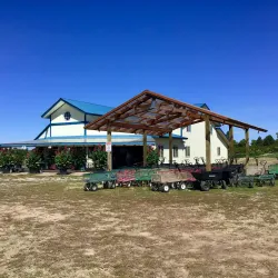 Green Bluff - Spokane