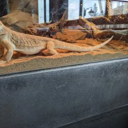 Mobius Children's Museum - Spokane