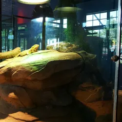 Mobius Children's Museum - Spokane