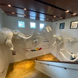 Northwest Museum of Arts and Culture (MAC) - Spokane