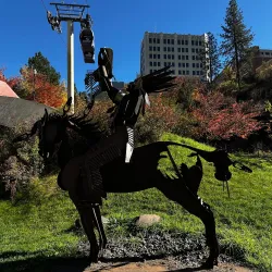Spokane Falls - Spokane