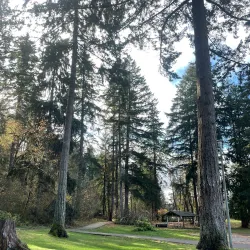 Tenino City Park - Tenino