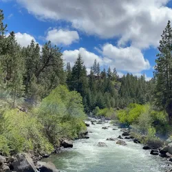 Deschutes River Trail - Tumwater
