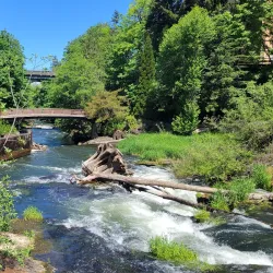 Tumwater Falls Park - Tumwater