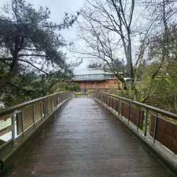 Tumwater Falls Park - Tumwater