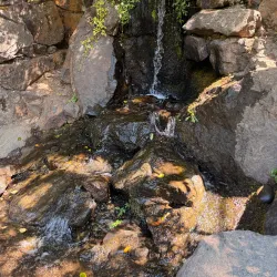 Tumwater Falls Park - Tumwater