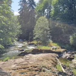 Tumwater Falls Park - Tumwater