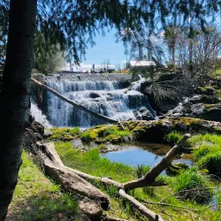 Tumwater Falls Park - Tumwater