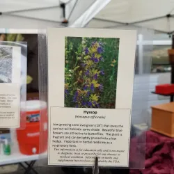 Tumwater Farmers Market - Tumwater