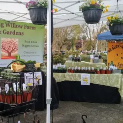 Tumwater Farmers Market - Tumwater